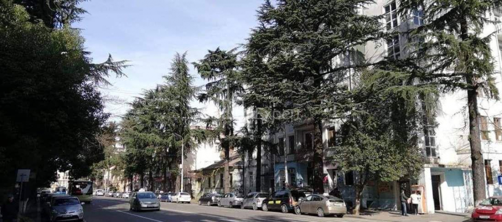 Квартира 61 м² - Нiколоза Бараташвiлi, Батумі, Грузія