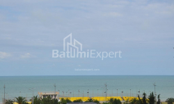 Квартира 3-комн 87 м² - Зураба Горгiладзе, Батумі