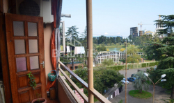 Квартира 100 м² - Зураба Горгiладзе, Батумі, Грузія