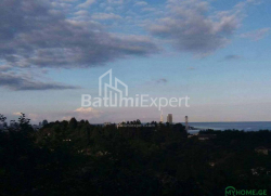 Земельна ділянка 300 м² - Юр'ївська, Батумі, Грузія