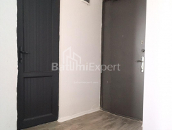 Квартира 48 м² - Oлександра Пушкiна, Батумі, Грузія