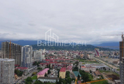 Квартира 2-комн 45 м² - Зураба Горгiладзе, Батумі