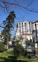 Квартира 1-комн 45 м² - Давида Клдіашвілі, Батумі