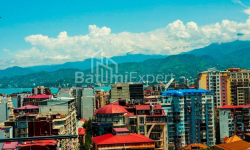 Квартира 3-комн 62 м² - Вахтанга Горгасалі, Батумі