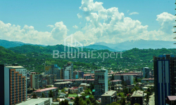 Квартира 3-комн 62 м² - Вахтанга Горгасалі, Батумі