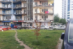 Квартира 1-комн 286 м² - Шерифа Хімшіашвілі, Батумі