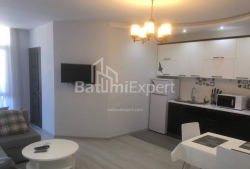 Квартира 1-комн 50 м² - Юсуфа Кобаладзе, Батумі