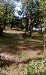 Квартира 259 м² - Юр'ївська, Батумі, Грузія
