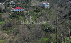 Квартира 2-комн 170 м² - Юр'ївська, Батумі