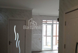 Квартира 3-комн 48 м² - Петра Мелiкiшвiлi, Батумі
