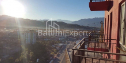 Квартира 1-комн 28 м² - Петра Багратіоні, Батумі