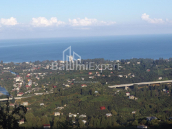 Приватний будинок 5000 м² - Мезгваурта, Чакві, Грузія