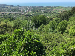 Приватний будинок 2255 м² - Агмашенебелі, Чакві, Грузія