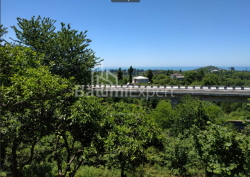 Земельна ділянка 536 м² - Агмашенебелі, Чакві