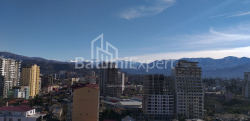 Квартира 31.3 м² - Шалва Інасаридзе, Батумі, Грузія