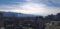 Квартира 31.3 м² - Шалва Інасаридзе, Батумі, Грузія