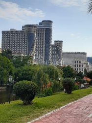 Квартира 1-комн 30.7 м² - Шерифа Хімшіашвілі, Батумі