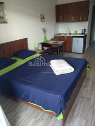 Квартира 28 м² - Юсуфа Кобаладзе, Батумі, Грузія