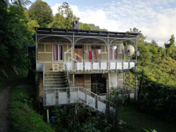 Приватний будинок 4-комн 2501 м² - Акакі Шаінідзе, Хелвачаурі