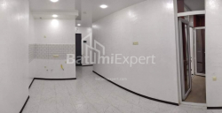 Квартира 1-комн 42 м² - Давида Агмашенеблі, Батумі