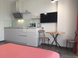 Квартира 1-комн 31.3 м² - Шалва Інасаридзе, Батумі