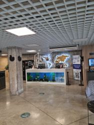 Квартира 42 м² - Адліа, Батумі, Грузія
