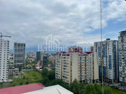 Квартира 3-комн 56.3 м² - Шалва Інасаридзе, Батумі