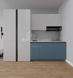 Квартира 1-комн 30.3 м² - Шалва Інасаридзе, Батумі