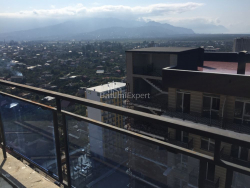 Квартира 1-комн 39.3 м² - Шерифа Хімшіашвілі, Батумі