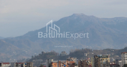 Квартира 1-комн 88.4 м² - Леха і Марії Качинських, Батумі