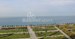 Квартира 1-комн 172.5 м² - Леха і Марії Качинських, Батумі